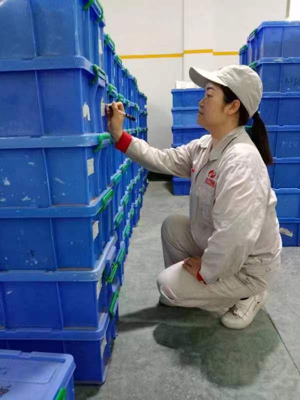 曾麗娟.jpg